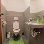 فيراينفوهنانغ روبي