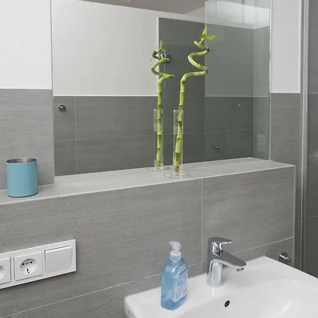 Apartment Robi