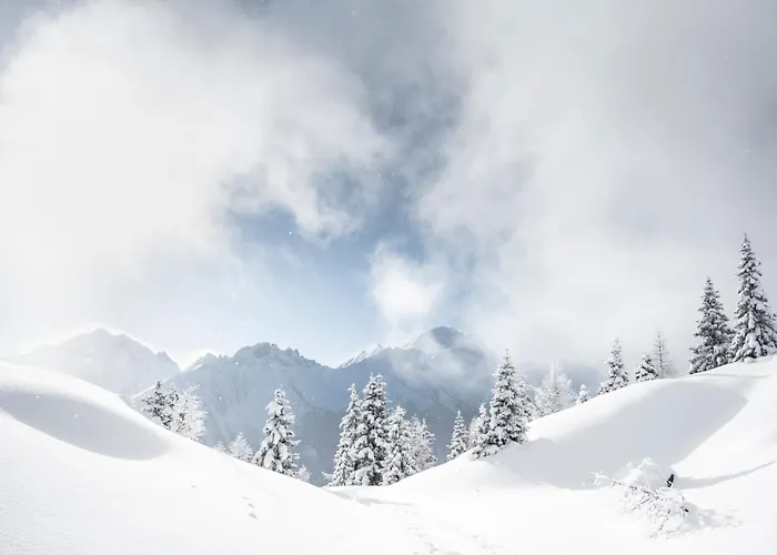 Apartament Robi Fulpmes